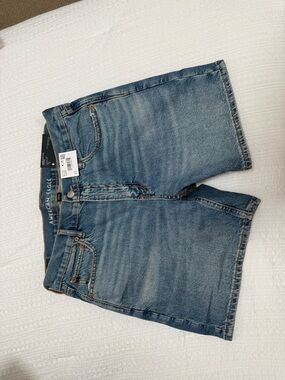American Eagle Outfitters Light Blue Denim Shorts